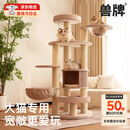 兽牌森林猫爬架大型猫树猫窝一体豪华剑麻猫架太空舱缅因大猫暖冬适用 森林【经典款】