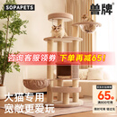 兽牌森林猫爬架大型猫树猫窝一体豪华剑麻猫架太空舱缅因大猫暖冬适用 森林【经典款】