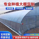 大棚钢管骨架养殖大棚种植全套家用温室大棚防雨保暖棚 高端棚4米宽10米长含膜含门