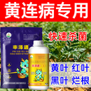黄连根腐红叶病害专用肥丰泽通金丰水溶叶面肥修复根系提质增产 买10送2【发12套】