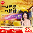 思念大黄米黑芝麻汤圆454g*2袋30颗家庭装早餐元宵甜品汤圆