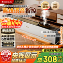 格力暖岁踢脚线取暖器央视展示石墨烯加湿家用电热电暖器浴室速热电暖气节能暖风机全屋升温 NJI-X7022