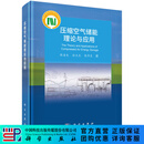 压缩空气储能理论与应用