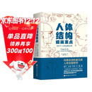 人体结构绘画重点