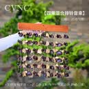CVNC天然果壳铃印尼果壳铃铛瑜伽冥想手摇铃手工果壳排铃音束风铃 四果混合排铃+音束支架（推荐）