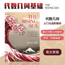 现货 代数几何基础 The Rising Sea: Foundations of Algebraic Geometry 英文原版