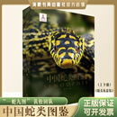 【直营速发】官方正版 礼盒装中国蛇类图鉴（上下册）海峡书局一蛇九图鳞片黄松 上下全2册套装 中国野生蛇类系统介绍蟒蛇筒蛇眼镜蛇动物蛇类科研爱好者专业自然科普百科类书籍 【店铺热销】中国蛇类图鉴