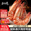 北海湾 九节虾干 特大即食烤虾干大对虾干斑节虾干海产干货风干A2大烤虾 大号九节虾干【约50只】净重500g