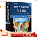 奈特人体解剖学彩色图谱：系统解剖学，第8版 2024年1月参考