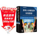 【系解版】奈特人体解剖学彩色图谱：系统解剖学（第8版）全新版本 英汉双语 人民卫生出版社