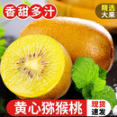 四川猕猴桃黄心奇异果30枚金果新鲜当季营养水果弥猴桃大果整箱 M 【中大果】正宗黄心猕猴桃30枚装（单果60-80g ）