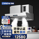 驰能（CHINENG）油烟净化器商用油烟机 餐饮饭店厨房低空直排过环保大功率油烟净化一体机 CN-JD-160B-R