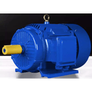 高科 三相异步电动机 YDT3-225M-4/6TH 33/11kW（变极多速）