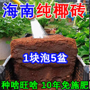 养花压缩营养土通用型无盐椰糠土种花种菜草椰砖高泡发椰砖免施肥 【买5送4】精选加量9块