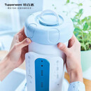 特百惠（Tupperware）净水器滤芯 纳美玲珑牌TPW-C1型家用厨房直饮机滤水配件