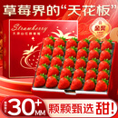 松筱红颜草莓99水果【JD多地次日达】四川大凉山奶油甜草莓年货节水果 【源头直采，锁鲜直发】4盒礼盒【20-24枚/每盒250g】