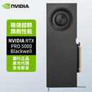 英伟达（NVIDIA）RTX PRO 5000 Blackwell 48GB 建模渲染 视频绘图 设计师绘图 专业显卡图形卡 工业包装