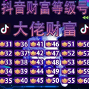 Q 75LZQLZ45-60-75抖音财富荣誉成品高等级支架出租号主播专用 拍前联系客服2