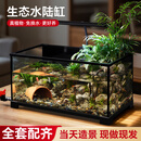 ZHIYAO生态缸造景玻璃缸小型别墅绿植水草苔藓造景水陆鱼龟混养专用缸 50长*28宽*26高cm深泉叠瀑全套【成品发货】