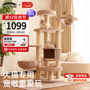 兽牌森林猫爬架大型猫树猫窝一体豪华剑麻猫架太空舱缅因大猫暖冬适用 森林【经典款】
