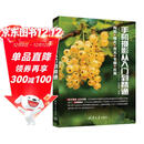 手机摄影从入门到精通