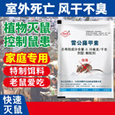 新贝奥（BIAO）雷公藤甲素强力老鼠药正宗家用特效饵剂克星三步到室外死颗粒
