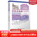 消化道黏膜病理活检解读 原书第3版 北京科学技术出版社 9787571444334 新华书店正版医学书籍包邮 图书