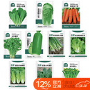北蔬 萝卜白菜种子香菜菠菜胡萝卜生菜秋季种 10种秋冬季蔬菜种子套餐