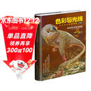 色彩与光线：写实主义绘画指南（珍藏版）（绘客出品）