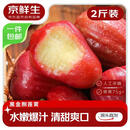 京鲜生 黑金刚莲雾 净重2斤装8-11个 单果75g+生鲜水果源头直发包邮