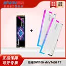 佰维（BIWIN）dw100+NV7200 1T SSD固态硬盘 ddr5内存条 6000c28内存条时空行者amd调优海力士颗粒 dw100 32G 6000 C36白 +NV7400 1T