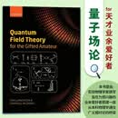 现货 高被引 天才业余爱好者量子场论Quantum Field Theory for the Gifted Amateur英文原版Tom Lancaster；Stephen Blundell 天才业余