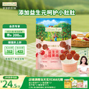 爷爷的农场 益生元山楂棒宝宝儿童零食 无添加 出行便携72g