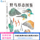 野鸟形态图鉴 鸟类图鉴野生动物自然观察博物学生物科普书籍 后浪童书