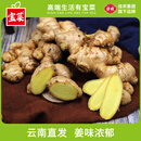 宝菜新鲜现挖正宗云南小黄姜生姜蔬菜带泥发蔬菜产地直发鲜姜 【新鲜现挖】净重4.5斤
