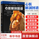 心脏解剖图谱 心脏介入解剖基础第1卷 徐伟 陈样新 樊友启 刘宇 主译 心脏人体解剖学 图谱解剖学9787565934766北京大学医学出版社 新华书店正版医学书籍包邮 图书