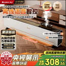 格力暖岁踢脚线取暖器央视展示石墨烯加湿家用电热电暖器浴室速热电暖气节能暖风机全屋升温 NJI-X7022