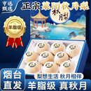 亨迅正宗山东羊脂秋月梨子莱阳真秋月梨新鲜水果生鲜 净重4.5-5斤活动装 （4-6粒）