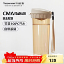 特百惠（Tupperware）茶韵500ML塑料杯男女士学生夏季运动水杯子户外便携大容量 奶茶棕