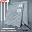 丹斯提尼佛山全瓷通体大理石瓷砖800X800客厅卧室防滑耐磨全抛釉地板瓷砖 数量规格定制 800*800