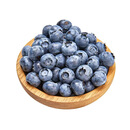 云南高山大蓝莓500g 18mm