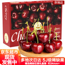 京地达智利进口车厘子5J级稀缺巨果5斤 单果34mm+ 新鲜水果源头直发