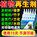 植物再生剂绿植盆栽通用光杆发黄生长营养液c 植物再生剂*4盒【超值装到手24支】