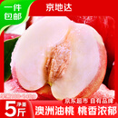 京地达澳洲油桃进口白心桃子净重5斤单果100g+脆甜大桃源头直发包邮