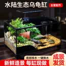 ZHIYAO超白玻璃生态缸带过滤器生态造景儿童水培植物进口四季盆栽 40长*23宽*22高cm栖屿秘境全套【成品发货】