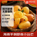 趣尝鲜正宗海南即食手剥小台芒 2斤装 单果70-140g 新鲜水果