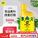 史丹利发财树营养液肥料专用肥防治黄叶枯叶烂根室内盆栽植物通用500ml