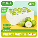 京鲜生 福建牛奶青枣 净重3斤装 单果50g起 时令生鲜水果 源头直发 包邮