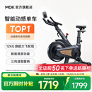 MOKFITNESSMOK(摩刻)-S10动感单车家用健身房智能磁控专业减肥运动器材静音 S10Ultra（玄武黑）
