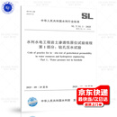 正版现货 SL/T 31.1-2025 水利水电工程岩土渗透性原位试验规程 第1部分：钻孔压水试验